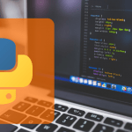 learn python programming online